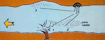 Underwater - imagesca45tesm.jpg